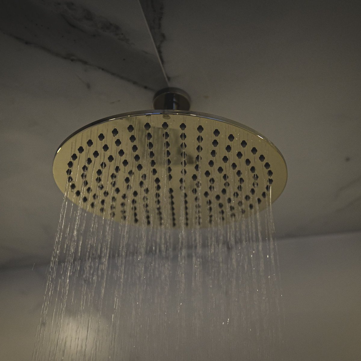 Shower fittings, 36 Cognewaugh Road